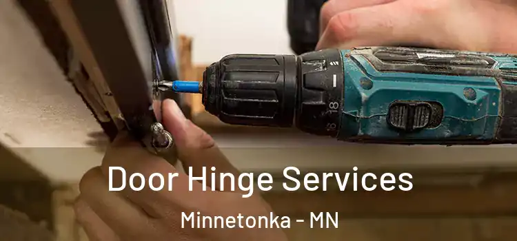 Door Hinge Services Minnetonka - MN