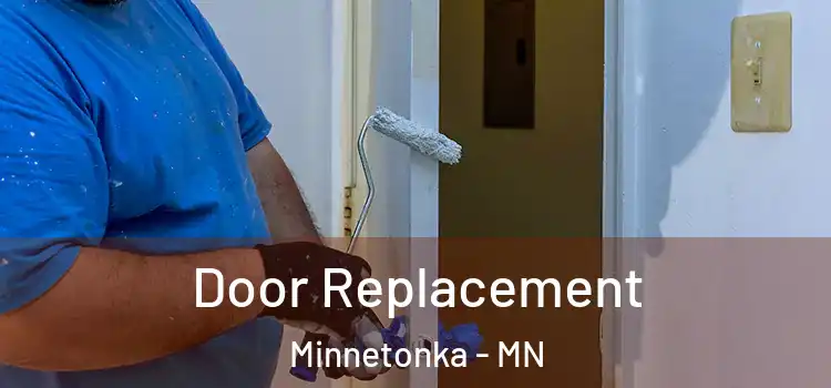 Door Replacement Minnetonka - MN