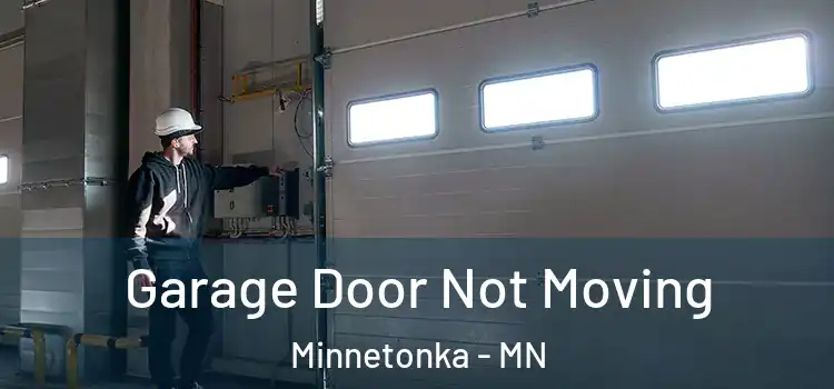  Garage Door Not Moving Minnetonka - MN