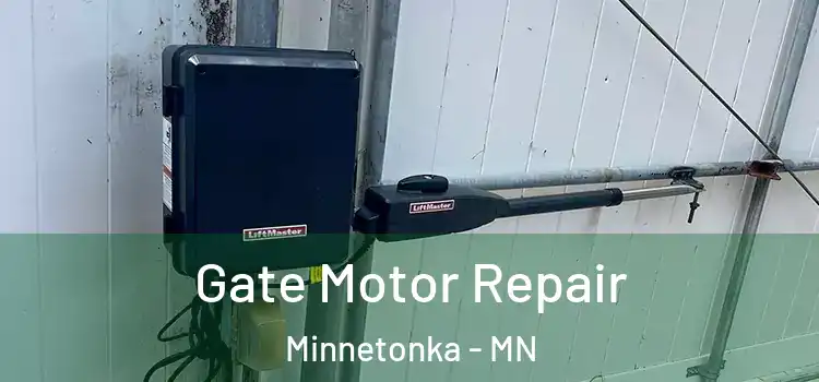 Gate Motor Repair Minnetonka - MN