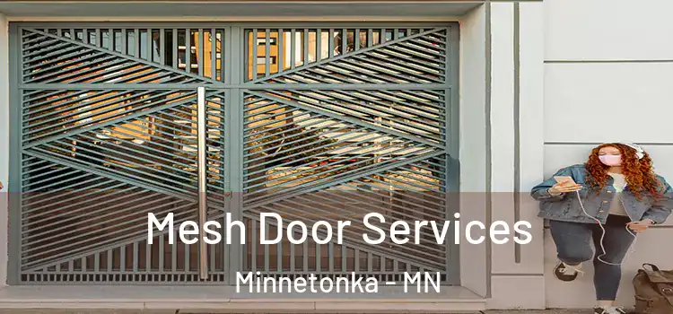 Mesh Door Services Minnetonka - MN